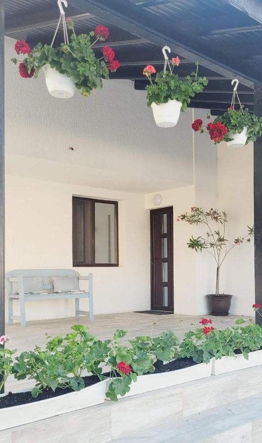 Hotel Casa Domneasca Giurgiu Exteriér fotografie